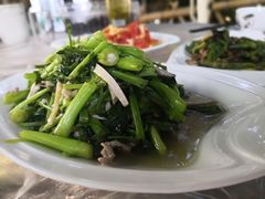-阿巧茶庄