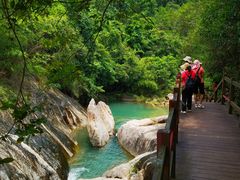 -广州白江湖森林公园