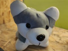 -Husky Go! 哈士奇体验馆·宠物咖啡厅狗咖