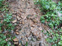 -中国铁路上海局集团有限公司杭州职工培训基地