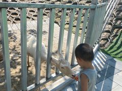 -北京鹿世界主题园