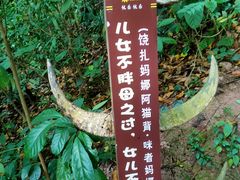 -西双版纳基诺山寨