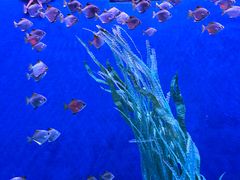 -沈阳海洋探索中心