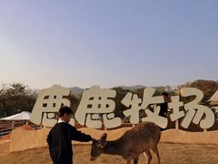 -盈香心动乐园