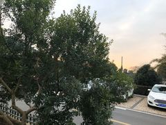 景观位-月敏农家乐(树山店)