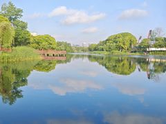 -新江湾城公园
