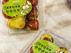 -百果园PAGODA(中铭豪园店)