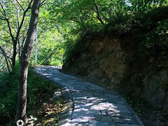 -大岭沟猕猴桃谷风景区
