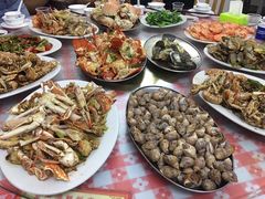 -广东惠东海龟国家级自然保护区