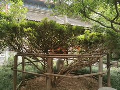 -西安大兴善寺