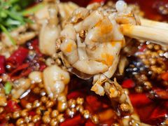 味之绝美蛙-味之绝热血美蛙鱼火锅(中坝店)