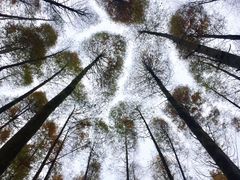 -山王坪喀斯特国家生态公园