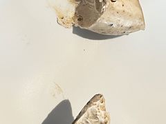 -Amber(置地文华东方酒店)