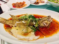 广式蒸桂鱼-泓历皇朝酒店(东亭店)
