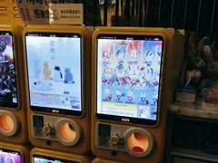 -Lilliput粒粒堡亲子餐厅(置汇旭辉店)