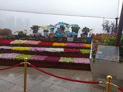 -重庆市江北嘴中央商务区中央公园