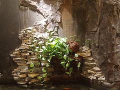 -徐鼎盛民间菜(上筑店)