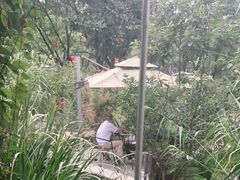 -谷咖啡·鲜花绿植花园餐厅