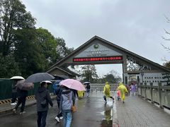 -中国大熊猫保护研究中心雅安碧峰峡基地