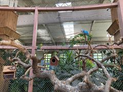 -南宫五洲植物乐园