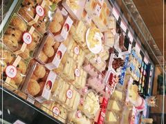 -幸福鸟动物奶油生日蛋糕(军校店)