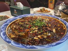 -新概念来凤鱼(璧山店)