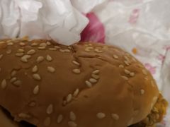 -麦当劳(塔园路店)