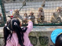 -南京金牛湖风景区