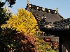 -北寺塔