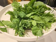 -烹然四季椰子鸡火锅(姚家园万象汇店)
