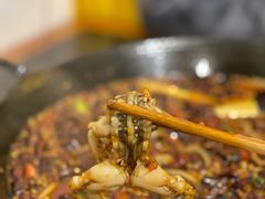 -鸿顺老铁锅美蛙鱼府(解放碑店)