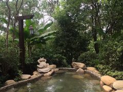 -天目湖涵田半山温泉