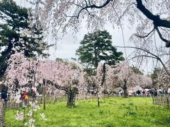 -京都御所