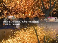 -海合安武汉极地海洋公园