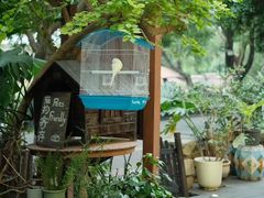 -时光花园(白鹭洲店)