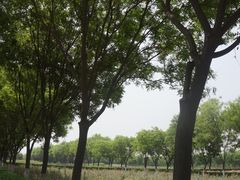 -汉景帝阳陵博物院
