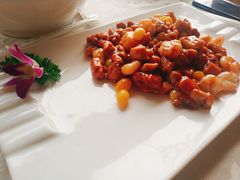 -丁老爷子苏香圆