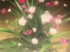 -小六汤包·老字号·中华名小吃(兴庆路店)