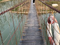 景点-合肥滨湖国家森林公园