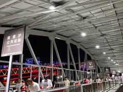 -武汉关码头(轮渡站)