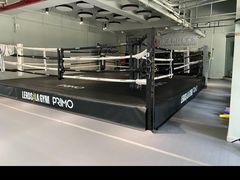 -花环泰拳·勒德斯拉泰拳馆(静安店)