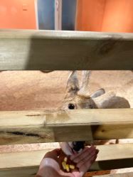 -Zoolung Zoolung动物主题公园(海信广场店)