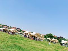 -梁子湖东篱老屋生态庄园