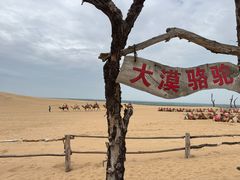 -黄沙古渡原生态旅游区