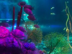 -沈阳海洋探索中心