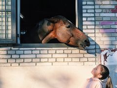 -北京群众马术培训基地