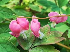 -江南大学(蠡湖校区)