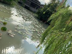-韩湘水博园