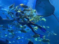 -太平洋海底世界