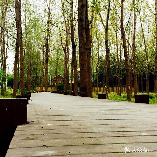 呼吸森林--环境图片-苏州美食-大众点评网